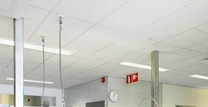 IN SITU